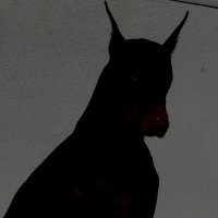 ASH (@d0gface_) 's Twitter Profile