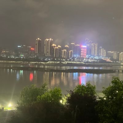 Lion51096Liu's profile picture. 