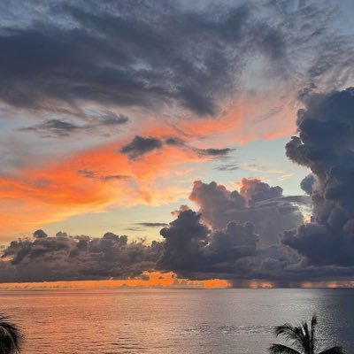 seasaaltttt's profile picture. 🌪️