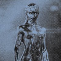 𝕾halla-š¯•al. (@celestialentity) 's Twitter Profile