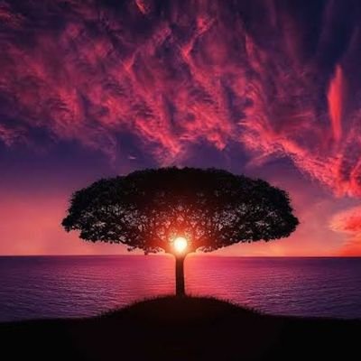 AthithThak3874's profile picture. Modi, Yogi, Bhagwa, and Bharat - My 4 Pillars