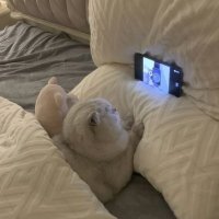 interta. (@intatervotez) 's Twitter Profile