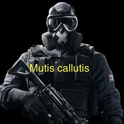 hugomontoyaalb1's profile picture. La mejor defensa es un coloso absorbemagia