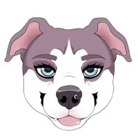 🩸🦴*°• Elena •°*🦴🩸 (@wtf_elena) 's Twitter Profile Photo