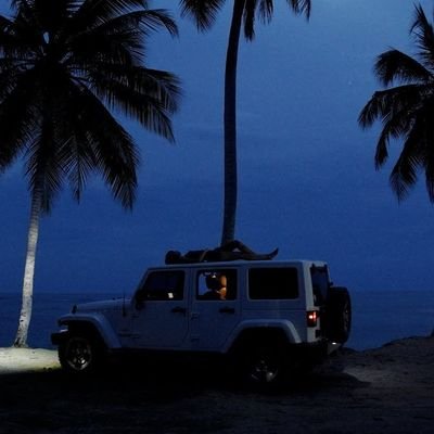 Narfaraz's profile picture. me gusta el sushi, aitana, el gym, soy embajador de pokemon go, aitana, las plantas carnivoras, los animales, aitana, lol, la horchata y mi perro se llama Kora