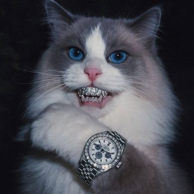 juggerwon's profile picture. THANK YOU WEB3