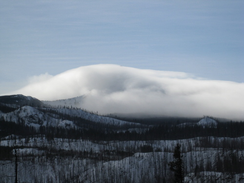 hoodooter's profile picture. 