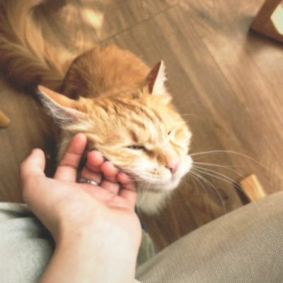 iaoomoh's profile picture. 没什么不好 不好的也会变好