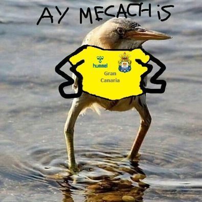 Yo vi jugar a Jaime Mata (por desgracia) y sobreviví para contarlo