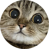 Joey W. (@joey_wheel3r) 's Twitter Profile