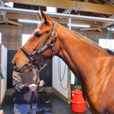 94’武豊騎手は憧れの存在✨ キャロットクラブで一口馬主🐴 夢は豊さんと優勝時記念撮影!!って言いながら乗りそうな馬に出資できてない😂活躍馬レイパパレ.レーベンスティール等 #大谷翔平