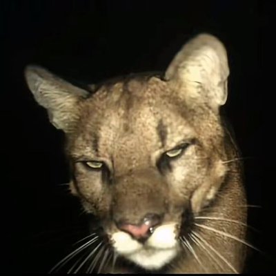 mary_nador's profile picture. tengo frío da igual cuando veas esto