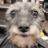 xokaspov's profile picture. 