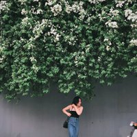 Johnette Volpicelli (@johnettev25144) 's Twitter Profile