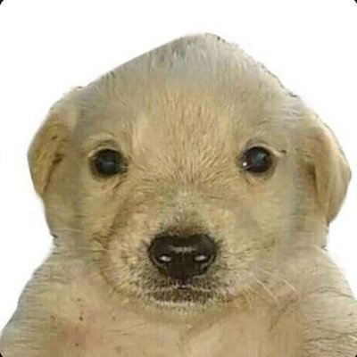 MrVolatility_HL's profile picture. hyperliquid