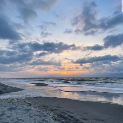 hafizhanyusof97's profile picture. 