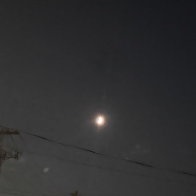 ManCat581239's profile picture. 