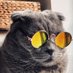 Siti Fatimah Puspitaningrum (@sitifatimahpita) Twitter profile photo Siti Fatimah Puspitaningrum (@sitifatimahpita) Twitter profile photo