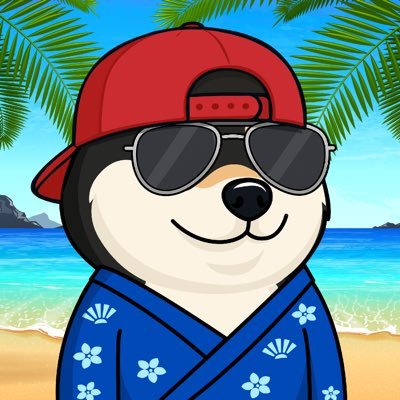 wolfofmeem's profile picture. DYOR - NFA