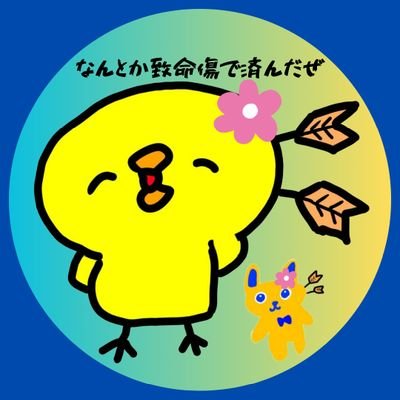 🐥はな🐥野生のひよこ Profile