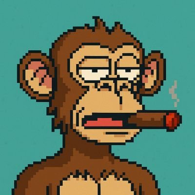 full time degen•bullposting•you fav reply guy•lookiing to farm impressions and bags.
