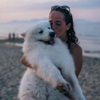 Oren Allanson (@oallanson73733) 's Twitter Profile