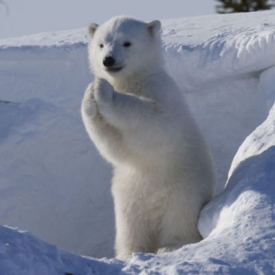 baebae_deep's profile picture. 양도문의 옾챗주세요