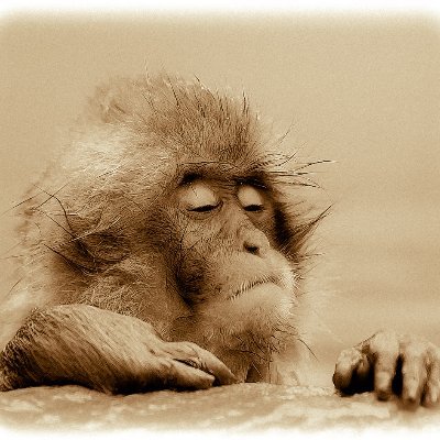 XTsmintheus's profile picture. 