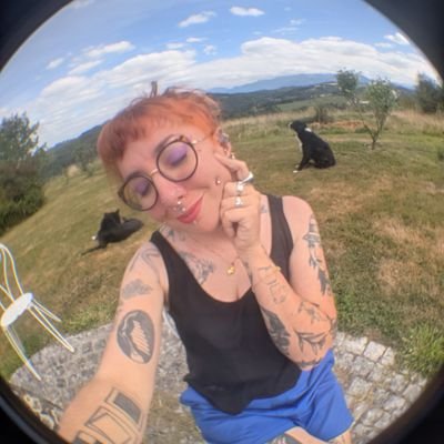 Doctorante salariée en Histoire de l'art: queer, drag & travestissement | @universite_uppa | ⚽️ PAU FC
@collectifarq | @CgtFercSup ☭