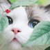 Dreamlife (@dreamlife7777) Twitter profile photo Dreamlife (@dreamlife7777) Twitter profile photo