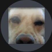 SBence_xD's profile picture. Star Wars FN (HU)