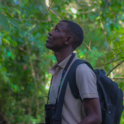 paul_theguide's profile picture. wildlife photographer | freelancer tour guide