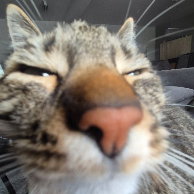 Maciej12089790's profile picture.