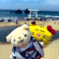 ぷりん🍀 (@purin_sato_taka) 's Twitter Profile Photo ぷりん🍀 (@purin_sato_taka) 's Twitter Profile Photo