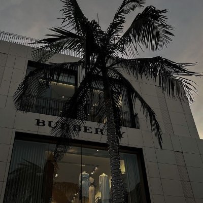 los_bvd's profile picture. Building startups...