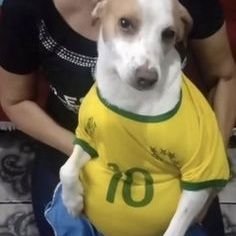 Memes bem ruinskkk Profile