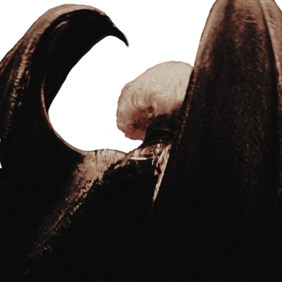 ᅠ ࣮𓂃 𝓜𝐨𝐫𝐧𝐢𝐧𝐠𝖘𝐭𝐚𝐫 . Profile