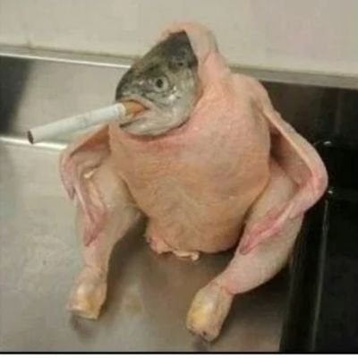 zetaconpazos's profile picture. 