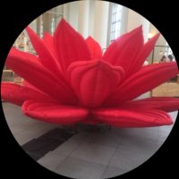 おかゆぴ (@show0129_okapi) 's Twitter Profile Photo