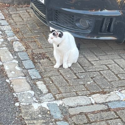 coalpale's profile picture. 