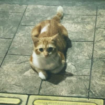 Semuanya sehat2 selalu & berkah, lancar apapun kedepannya menjadi pribadi baik lagi bagi siapapun aamiin.