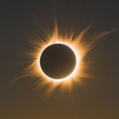 SiriusEcl's profile picture. 