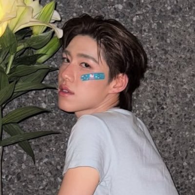 ♡⁺milliebear˖ ⸝⸝ Profile