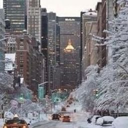 Arborqea442533's profile picture. 