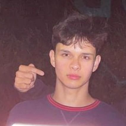 dinis_arauujo's profile picture. 