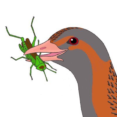Rathlin Stickybeak Profile