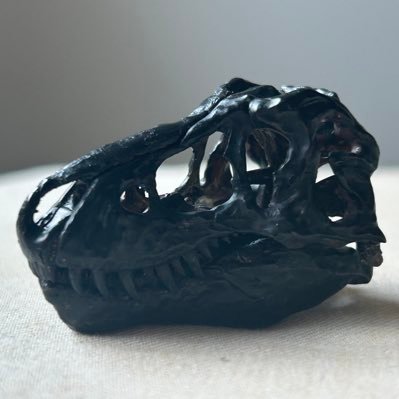 お骨のREXさんのプロフィール画像