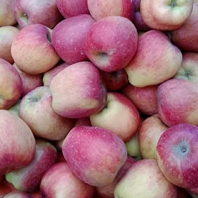 itz234me's profile picture. #kashmiri, #medico,#mbbs, 2019