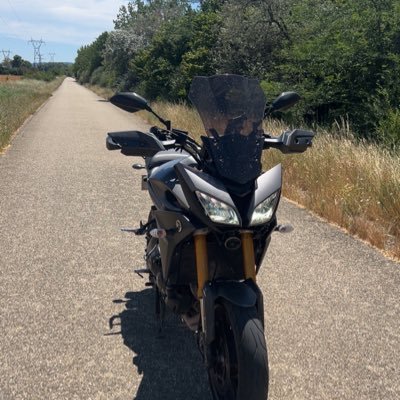 Maraanello's profile picture. 🪼🥭 🍍