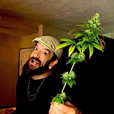 Smoke Sesh! I get my grow on. They call me Shaggy. Co-host of The Boys LIVE Show! @FLDadShaggyBigA Grow Your Own